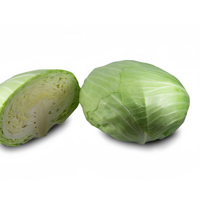 包菜Cabbage