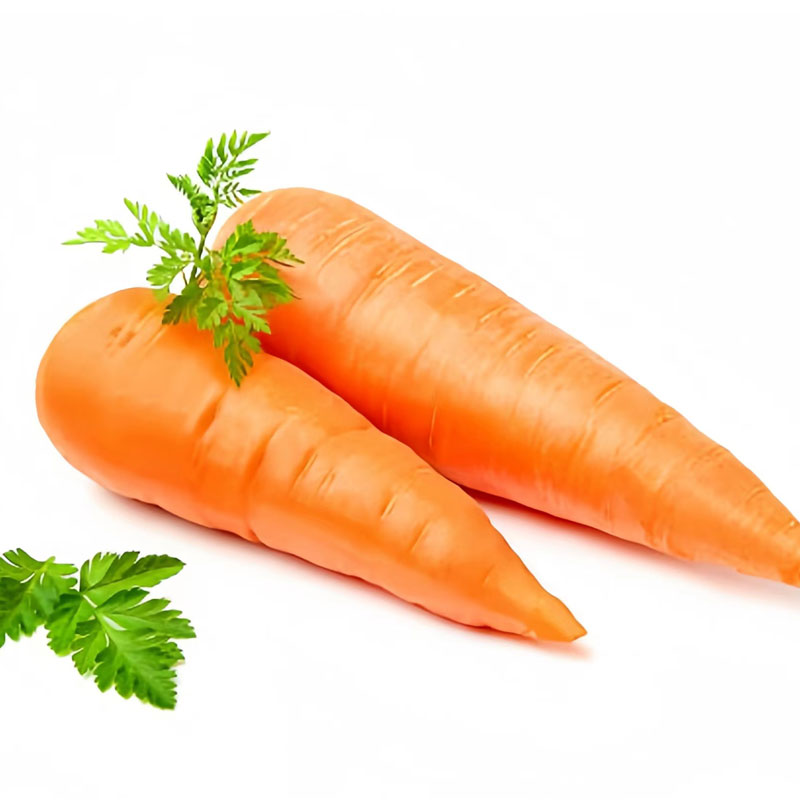 胡萝卜Carrot