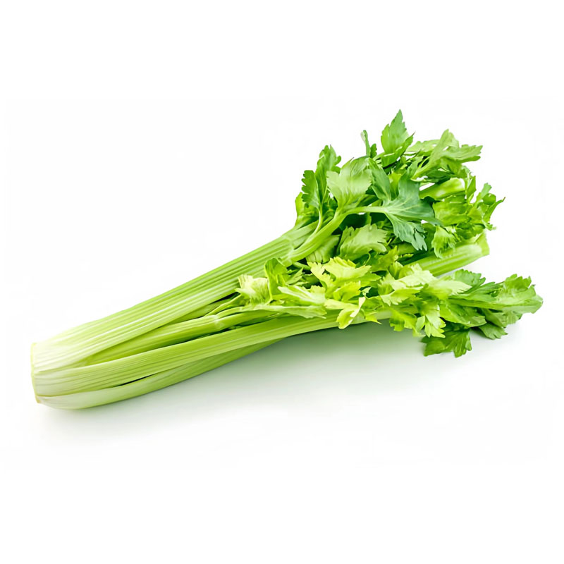 芹菜Celery