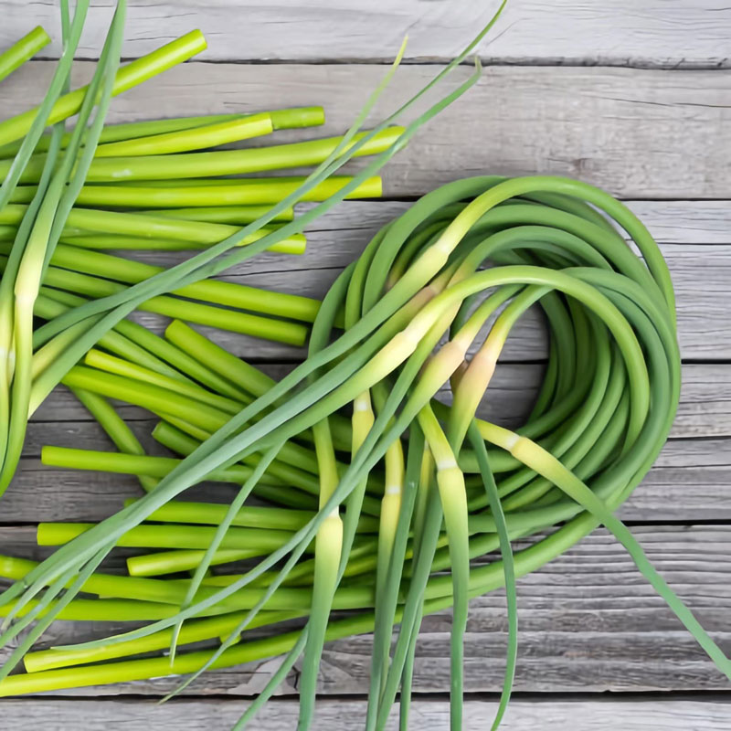 Garlic-Scapes