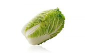 白菜Chinese-Cabbage