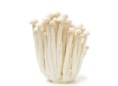 白雪菇 White Snow Mushroom