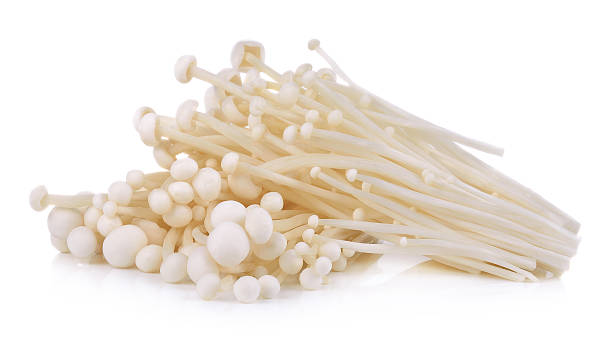 金针菇 Enoki Mushroom