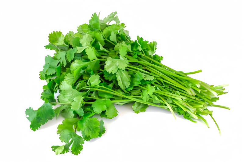 香菜 Coriander