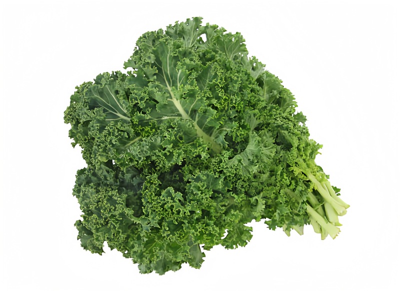 羽衣甘蓝 Kale