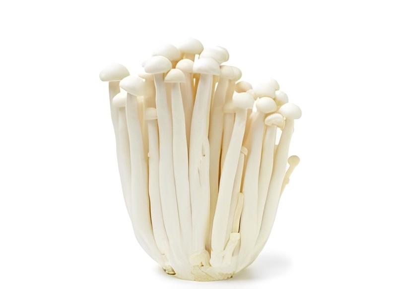 White Snow Mushroom