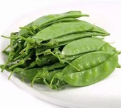 荷兰豆 Snow Pea