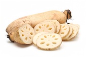 莲藕 Lotus Root