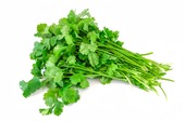 香菜 Coriander