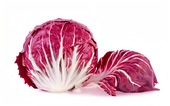 红菊苣 Radicchio