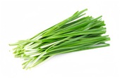 Chinese Chives