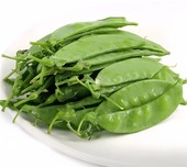 Snow Pea