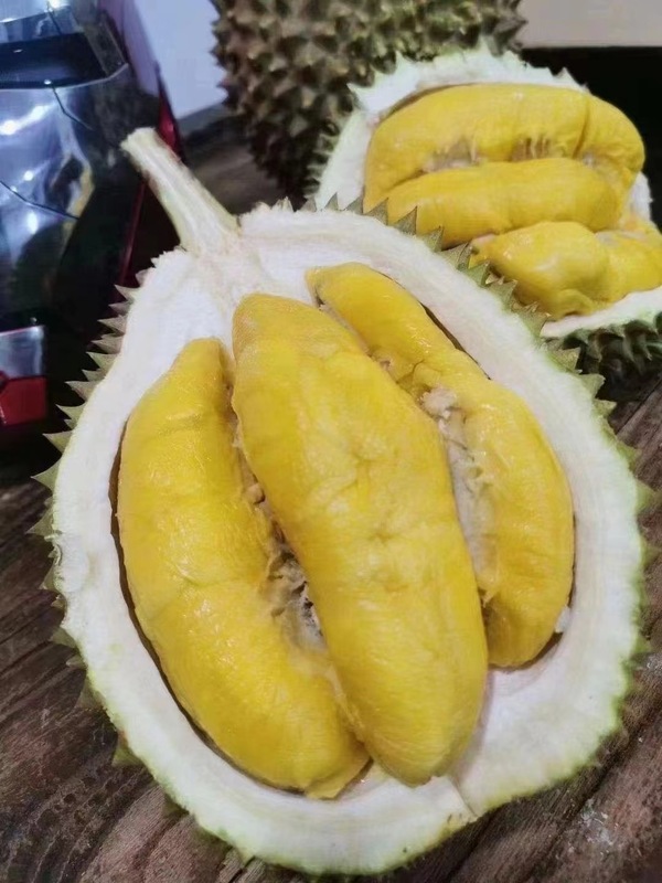 Musang King